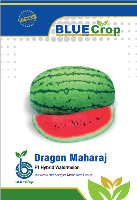 DRAGON MAHARAJ